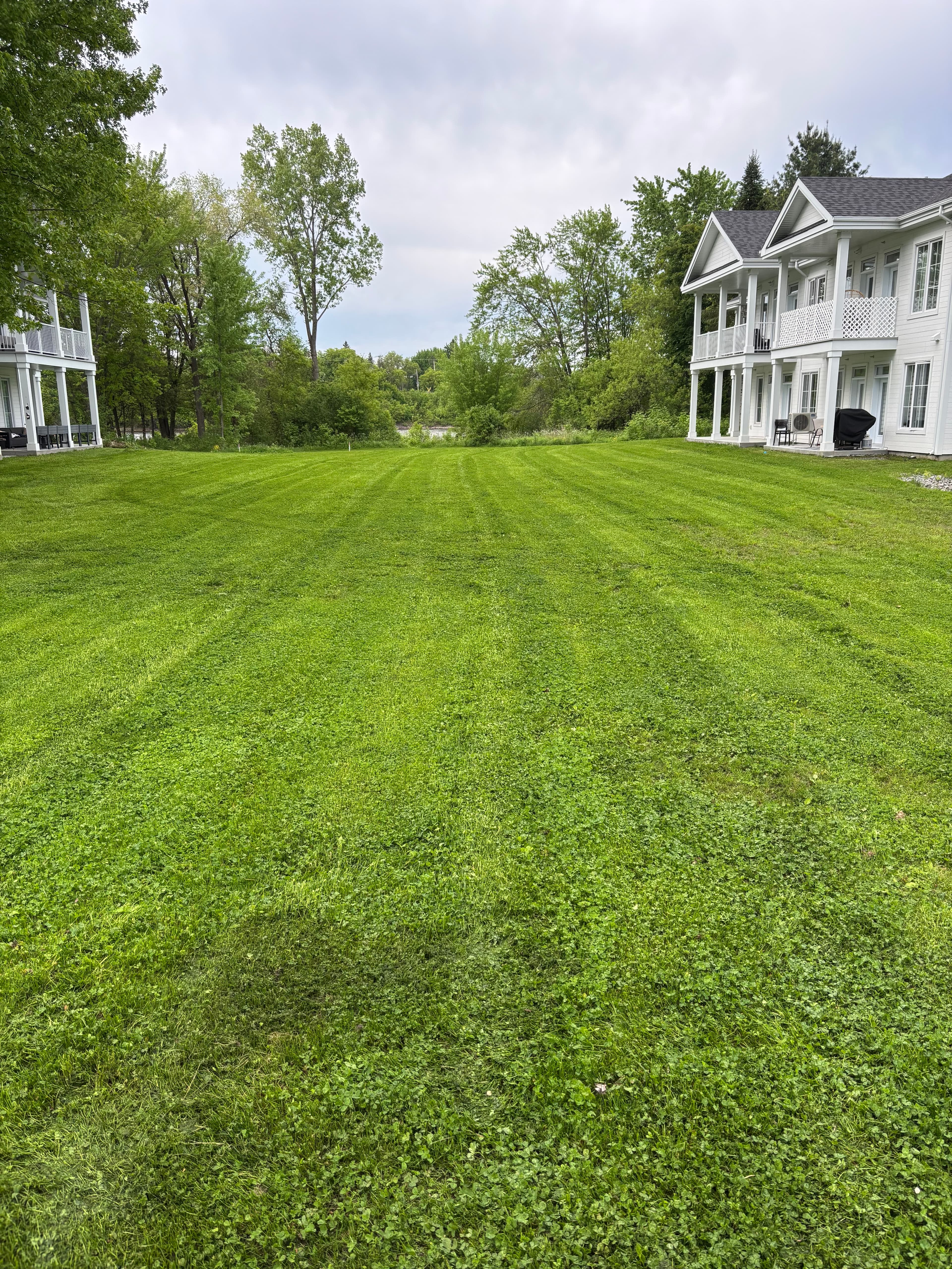 Complexe Saint-Charles Charlemagne