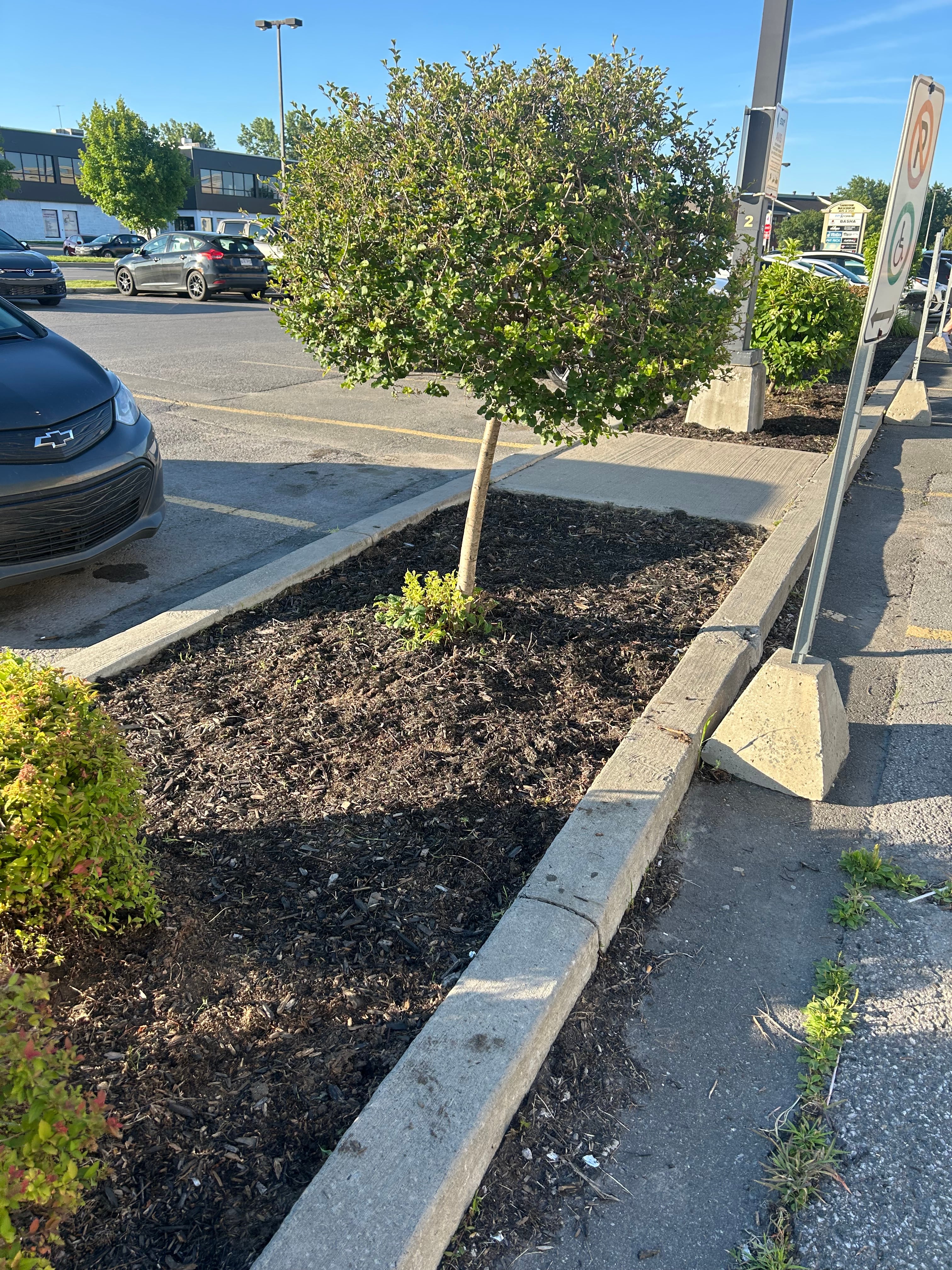 Photo 2 — 3075 Boul. Mascouche
