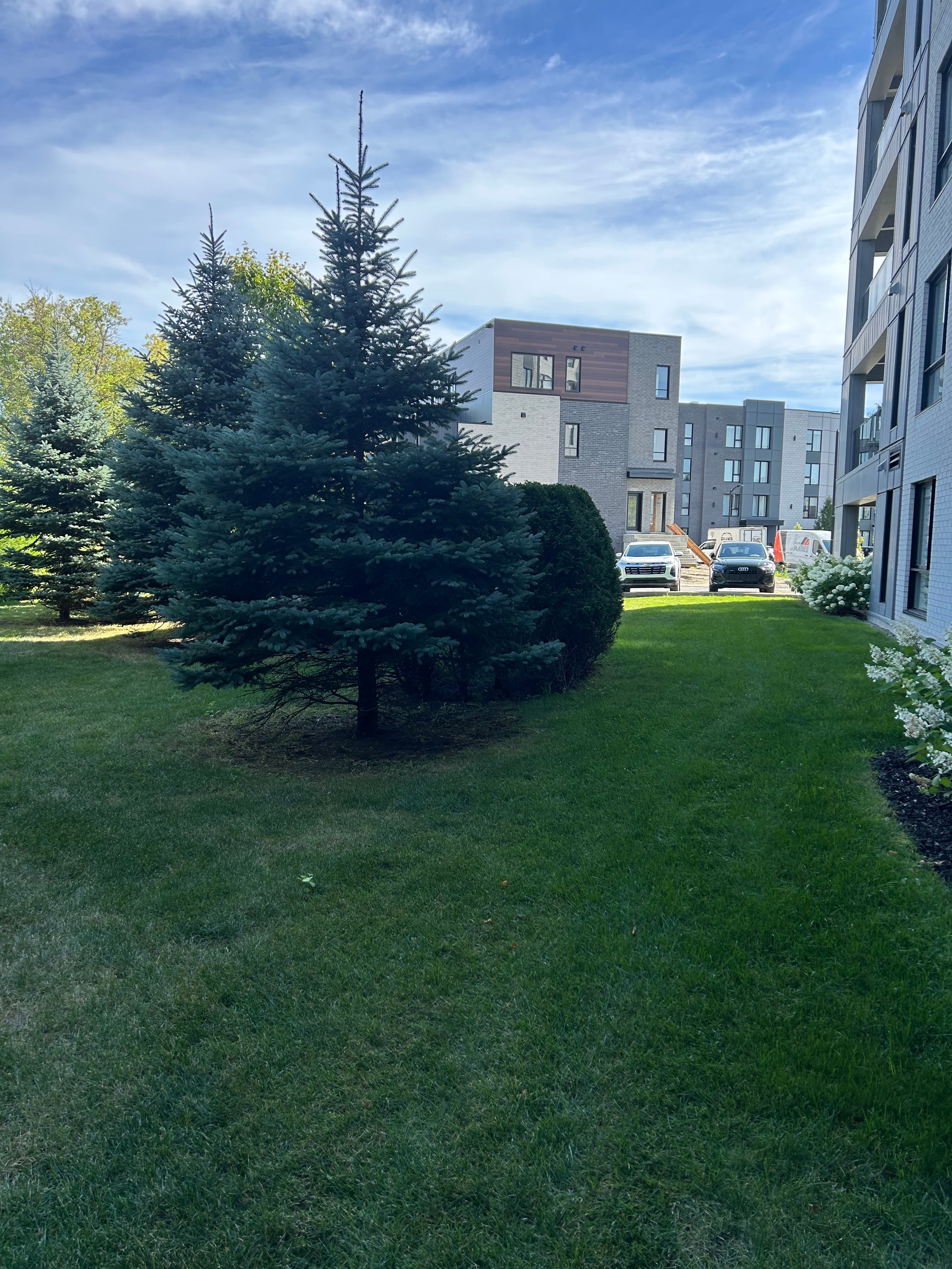 Photo 2 — Plateau de la Gare