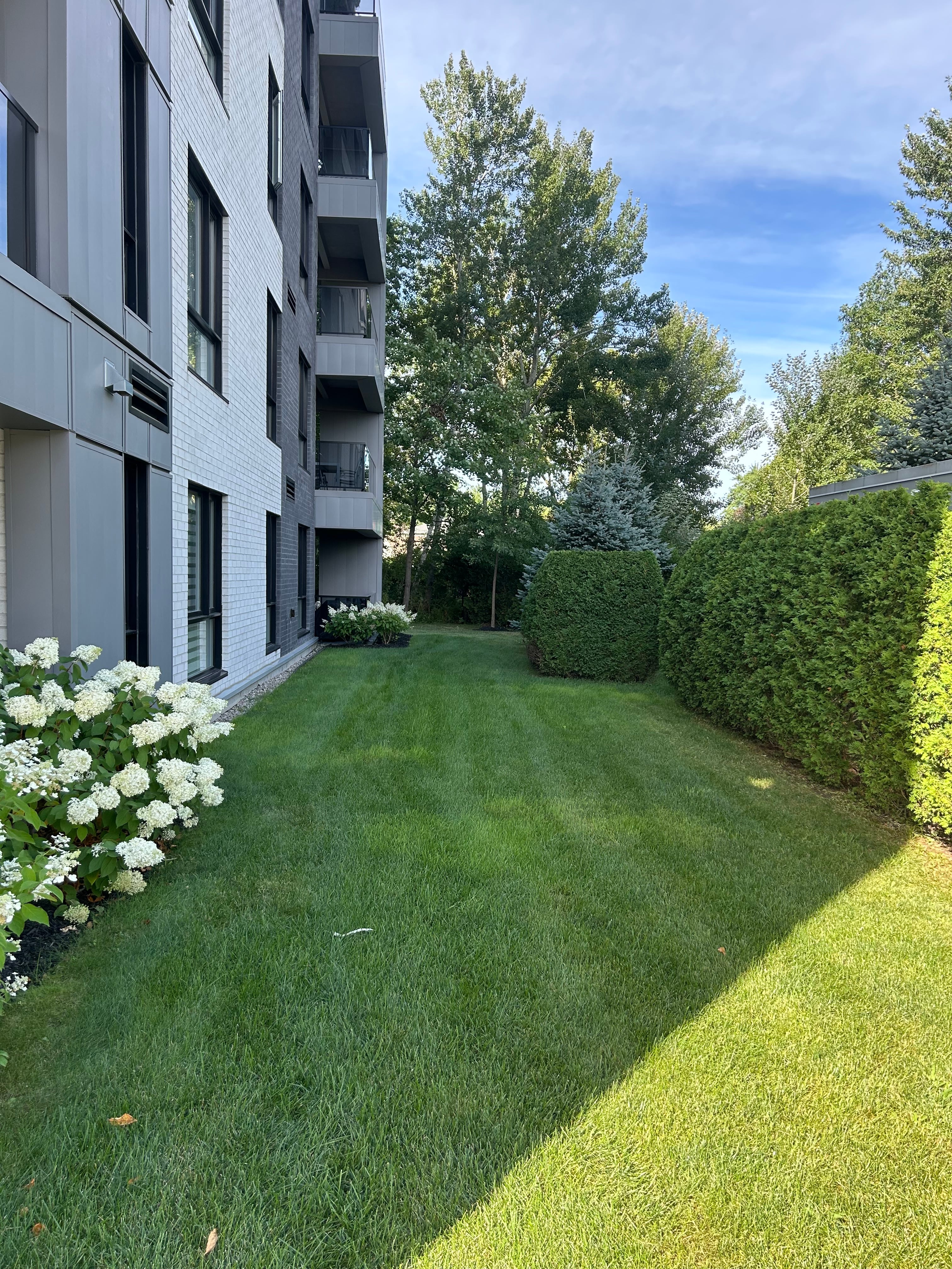 Photo 3 — Plateau de la Gare