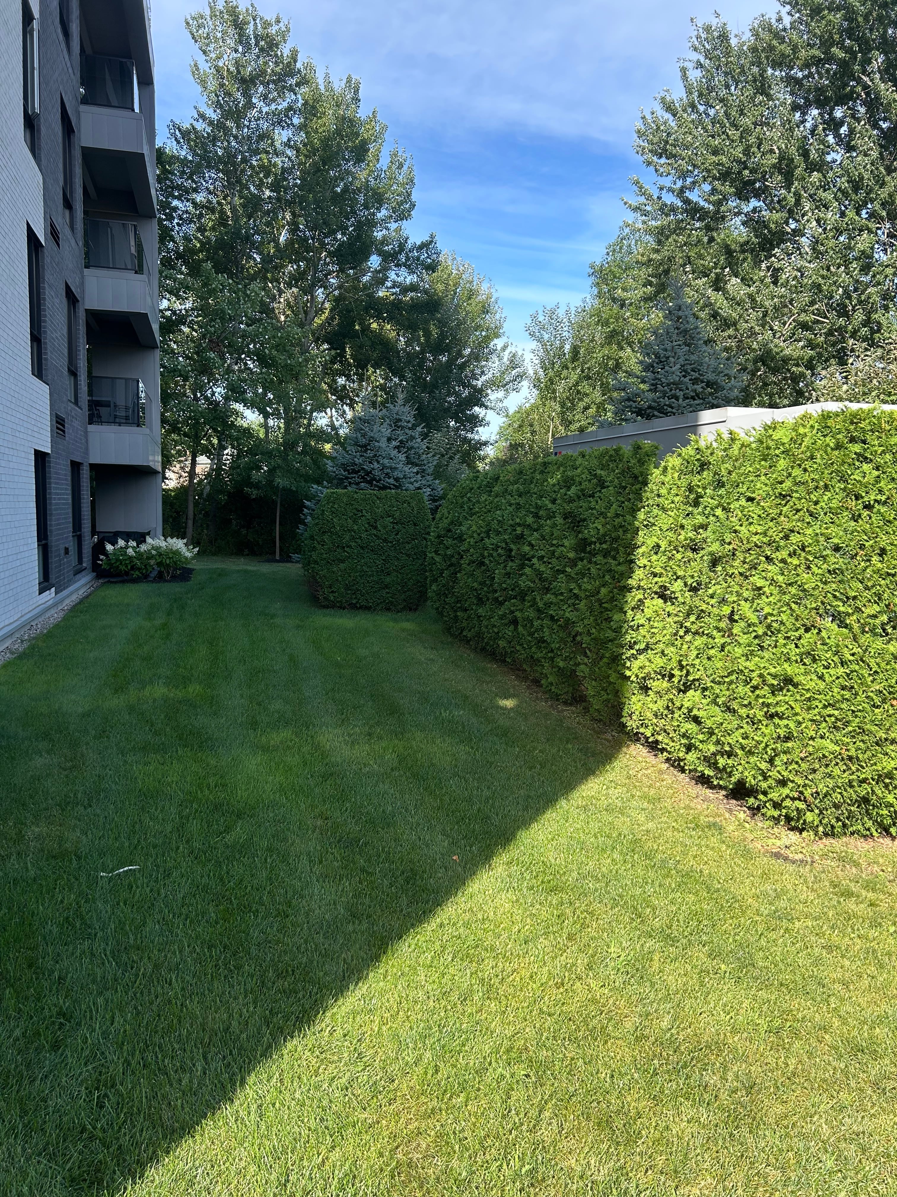 Photo 4 — Plateau de la Gare