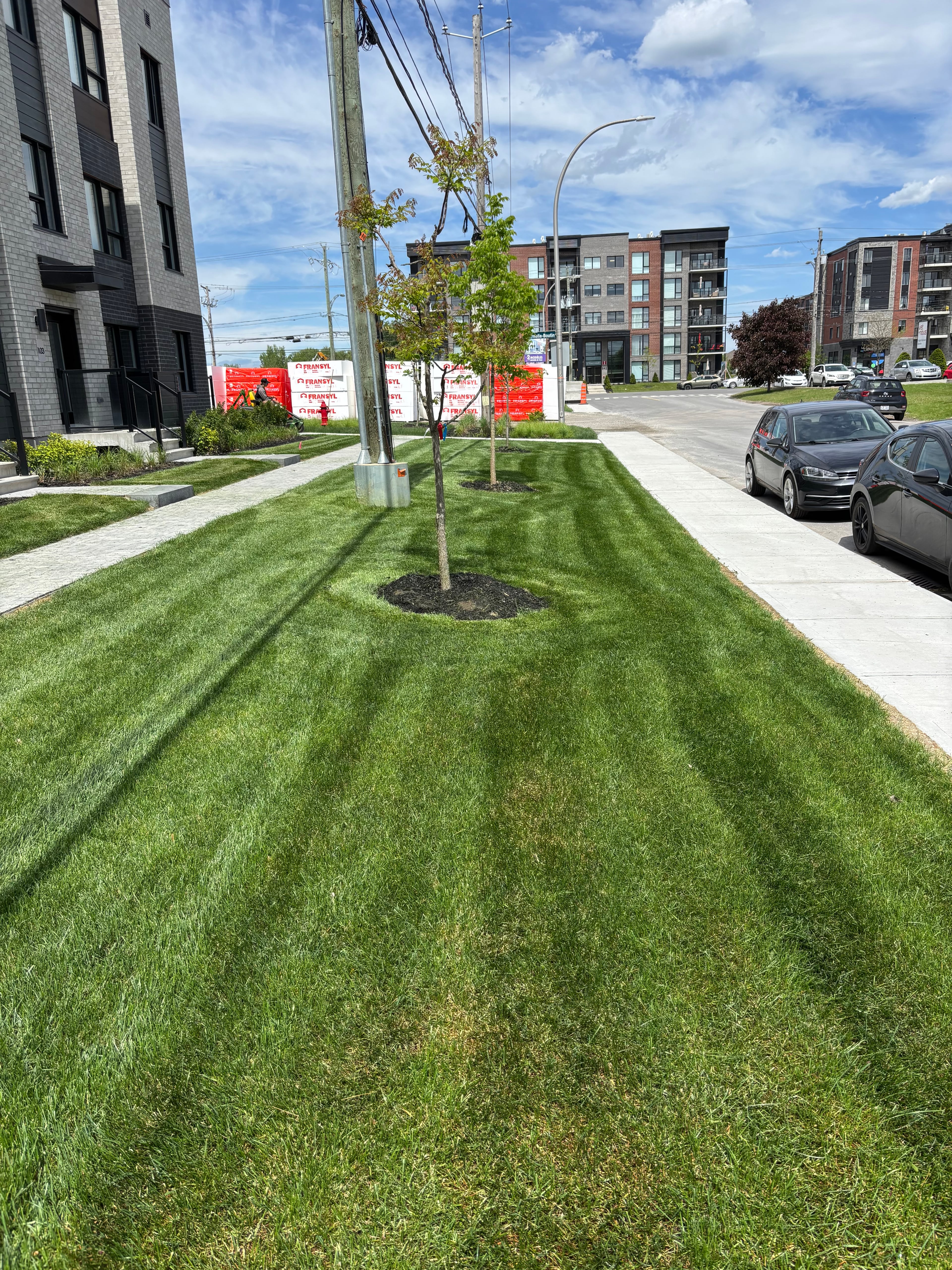 Photo 6 — Plateau de la Gare