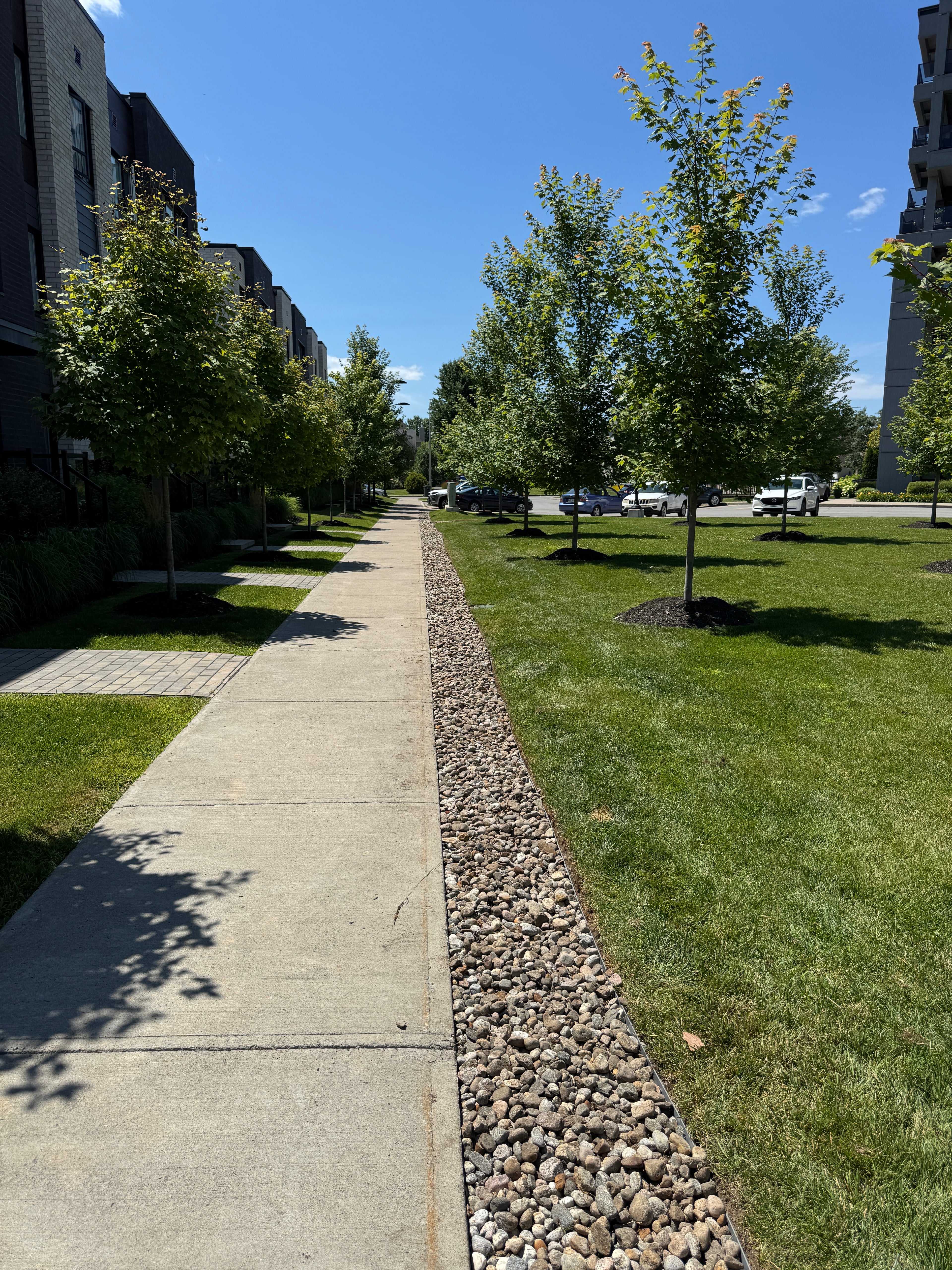 Photo 11 — Plateau de la Gare