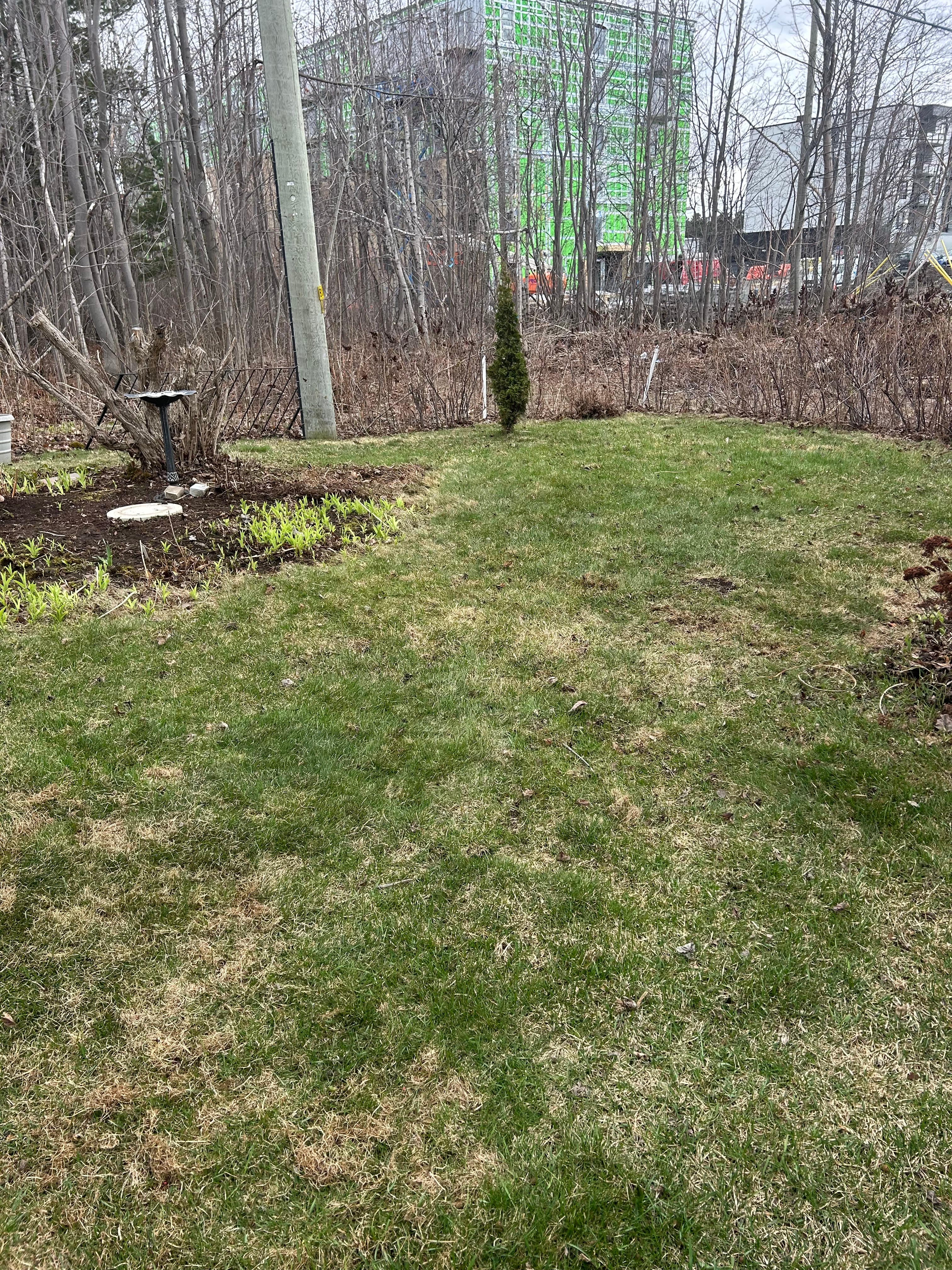 Ouverture de terrain - Image 4