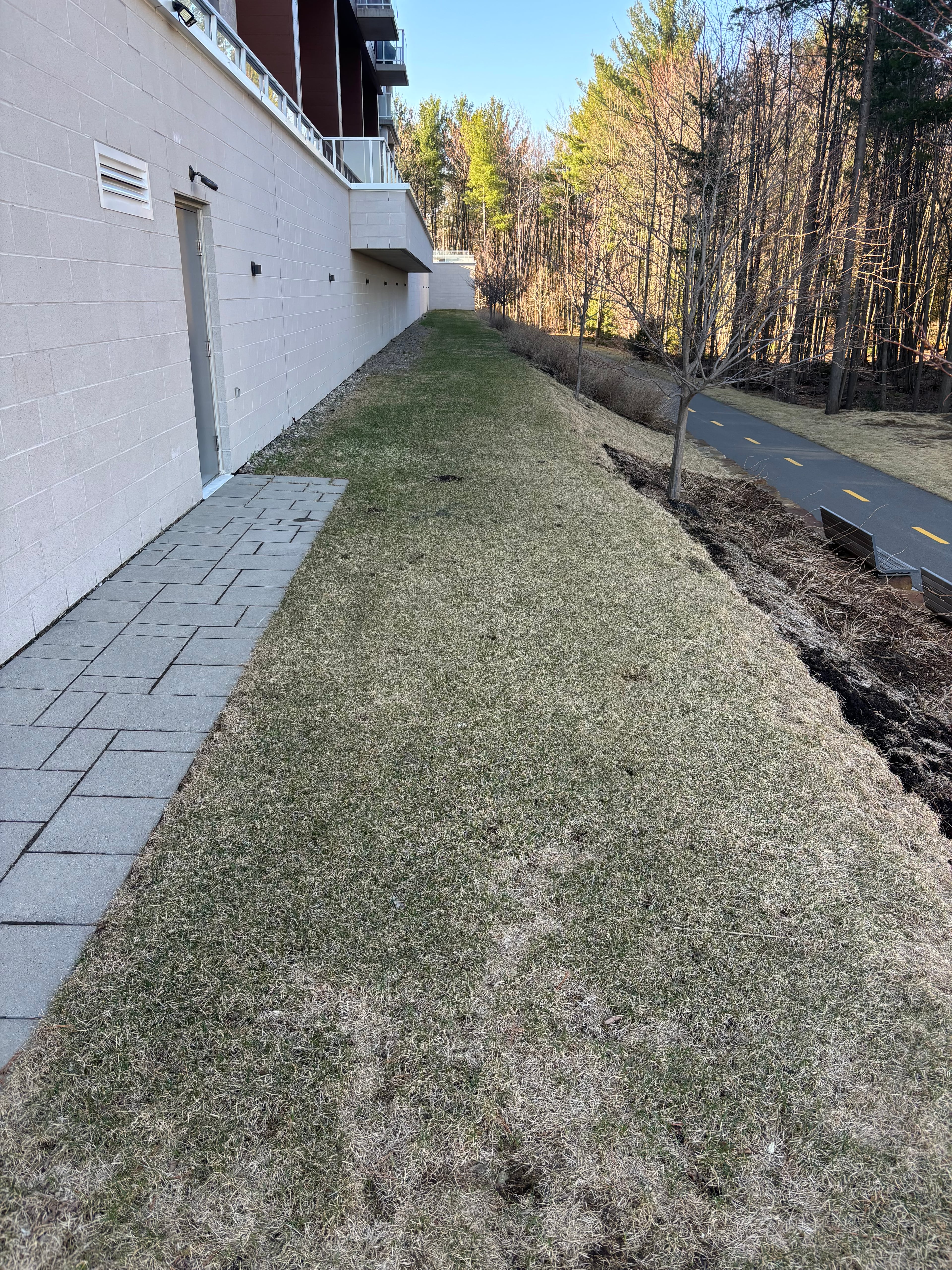 Ouverture de terrain - Image 6