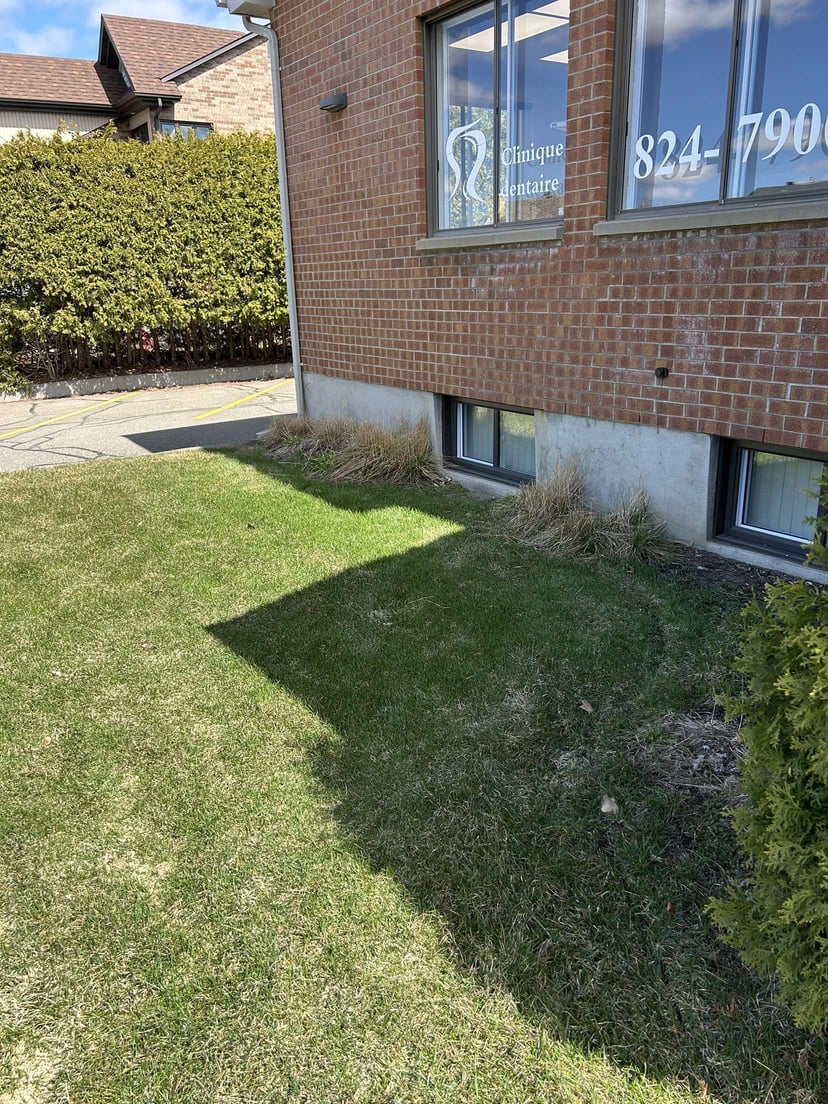 Ouverture de terrain - Photo 14