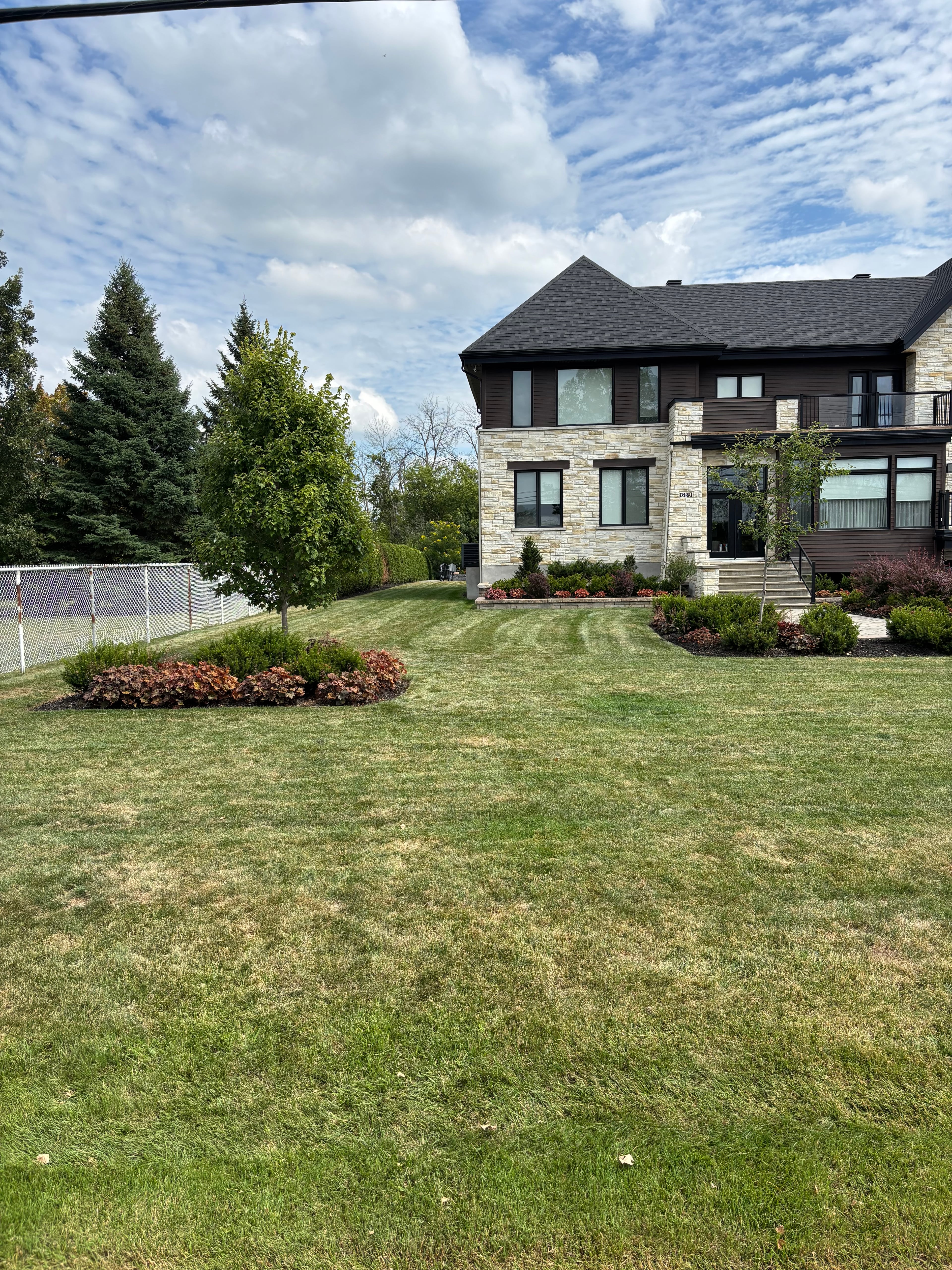 Tonte de pelouse - Image 2