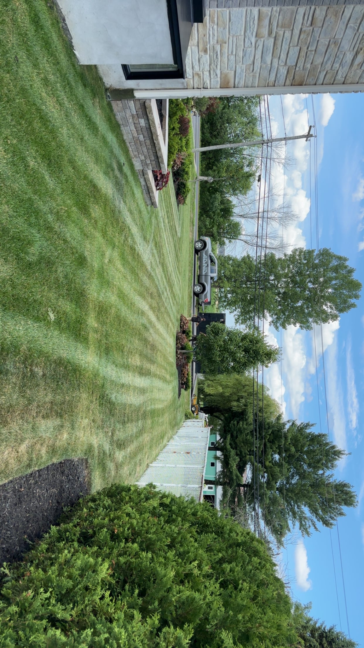 Tonte de pelouse - Image 3