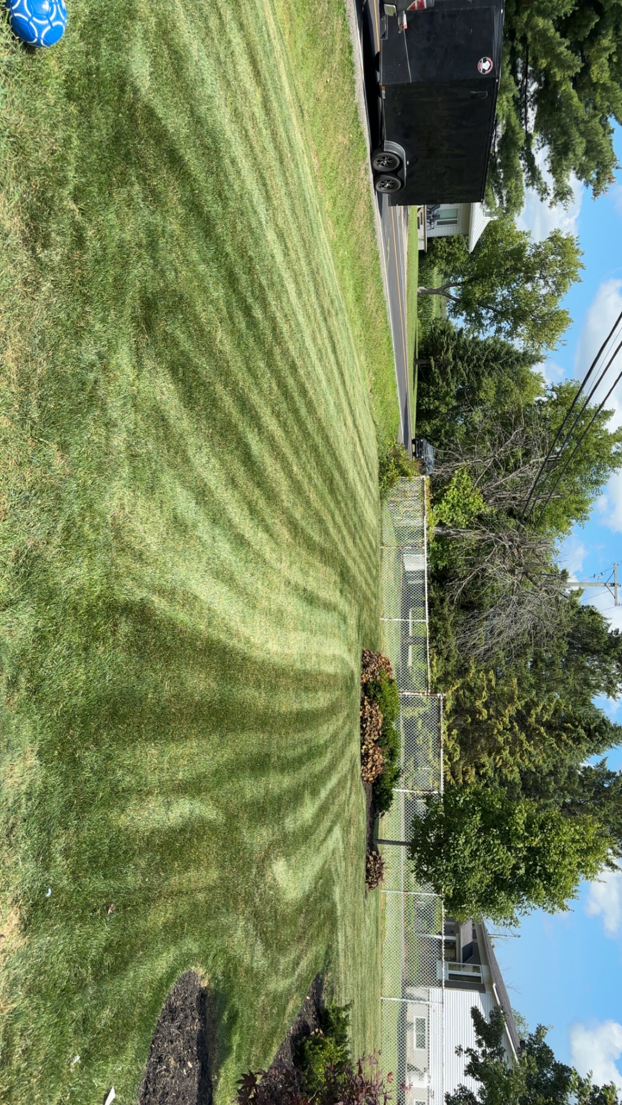 Tonte de pelouse - Image 4