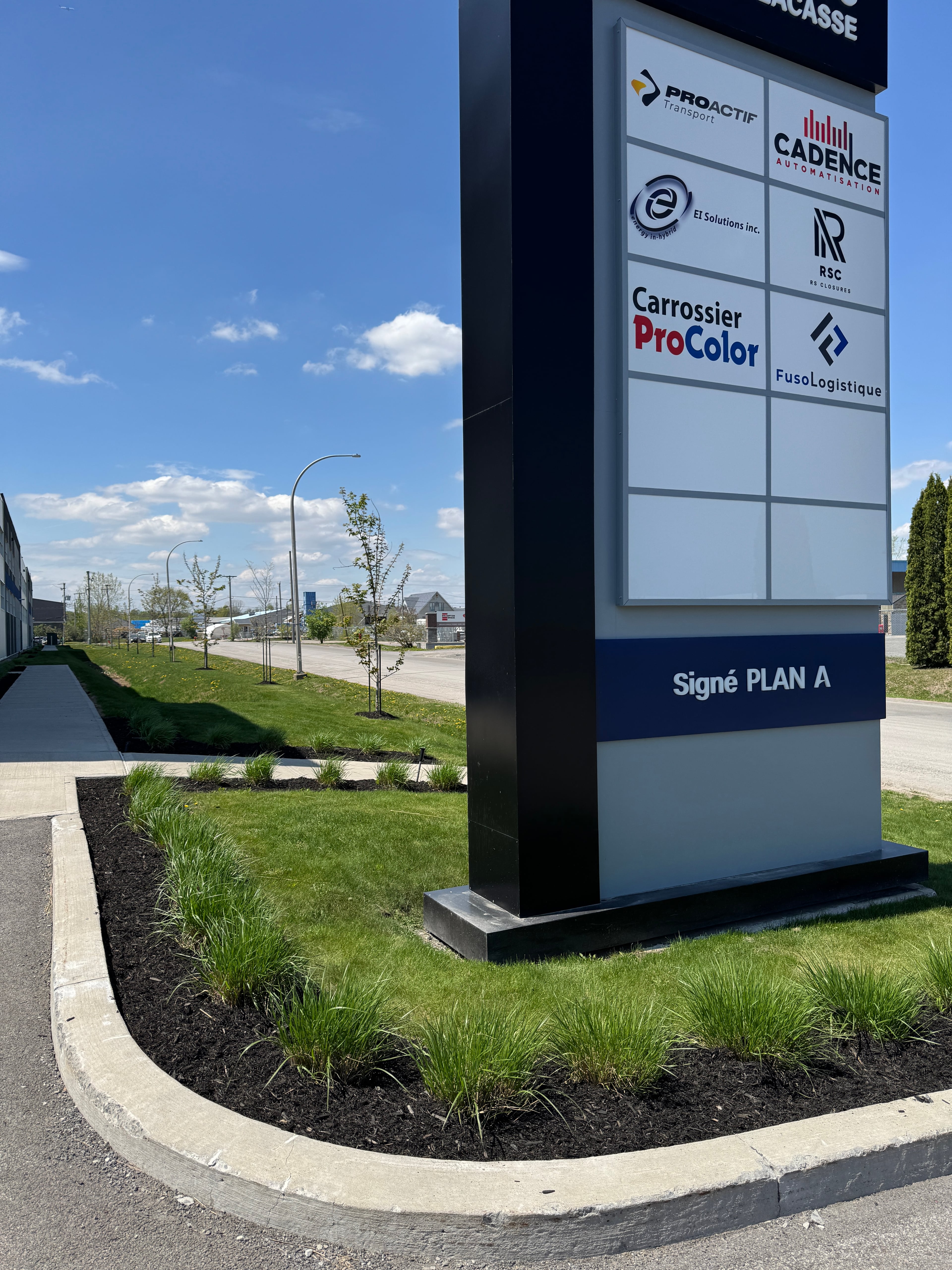 Tonte de pelouse - Image 5