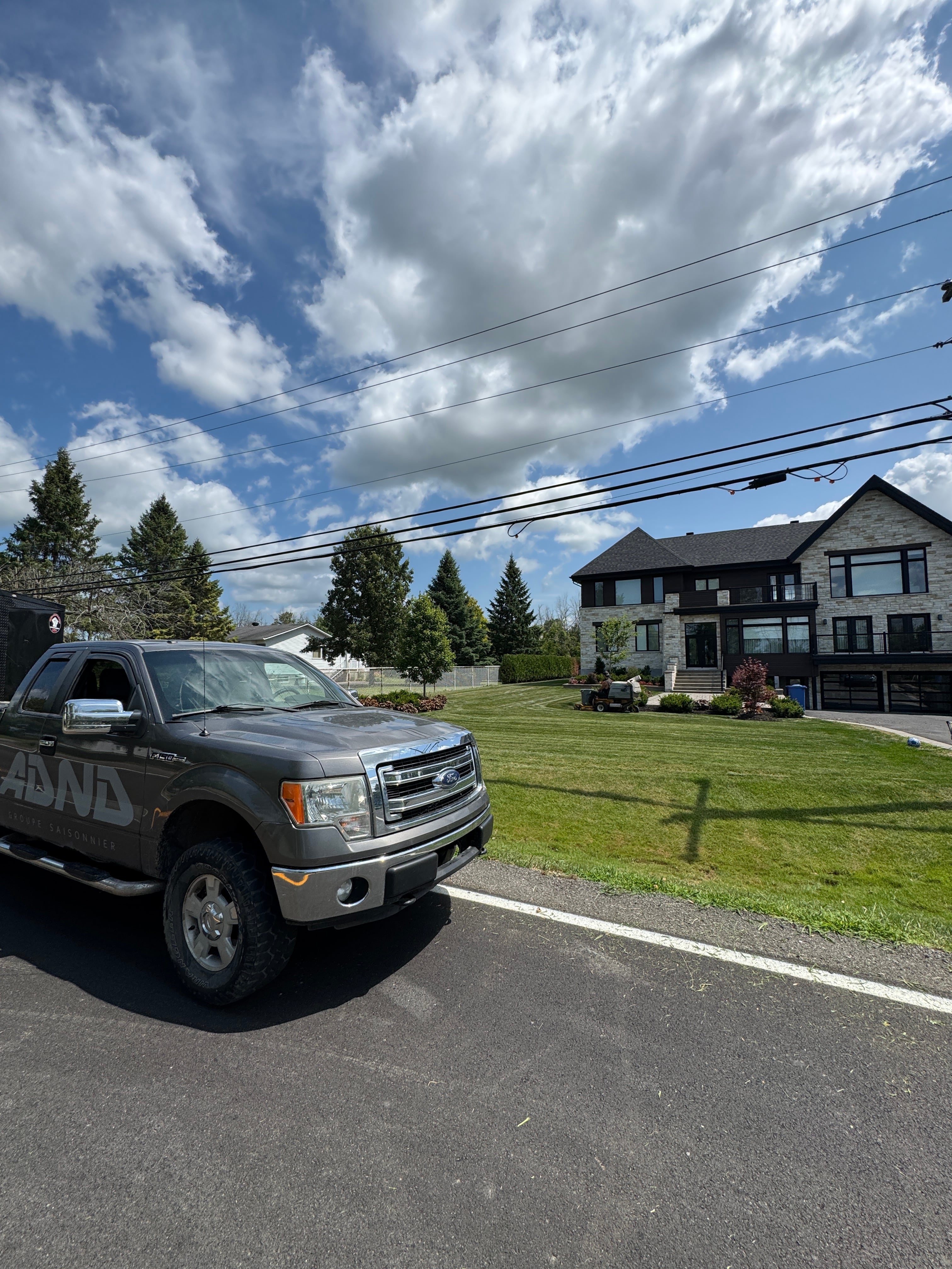 Tonte de pelouse - Image 8